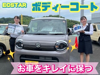 おすすめディーラー用品！ECSTARボディーコート